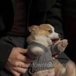 Avatar of Zubair Khalid